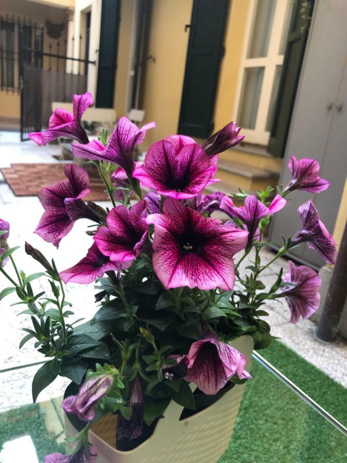Le Palme Appartement Bologna Buitenkant foto